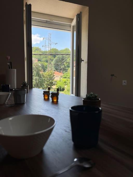 Appartement De Charme 80M2 Givors Kültér fotó