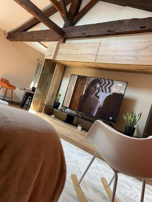 Appartement De Charme 80M2 Givors Kültér fotó